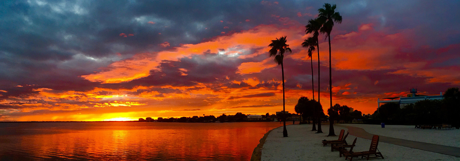 News Archive - News | Eckerd College