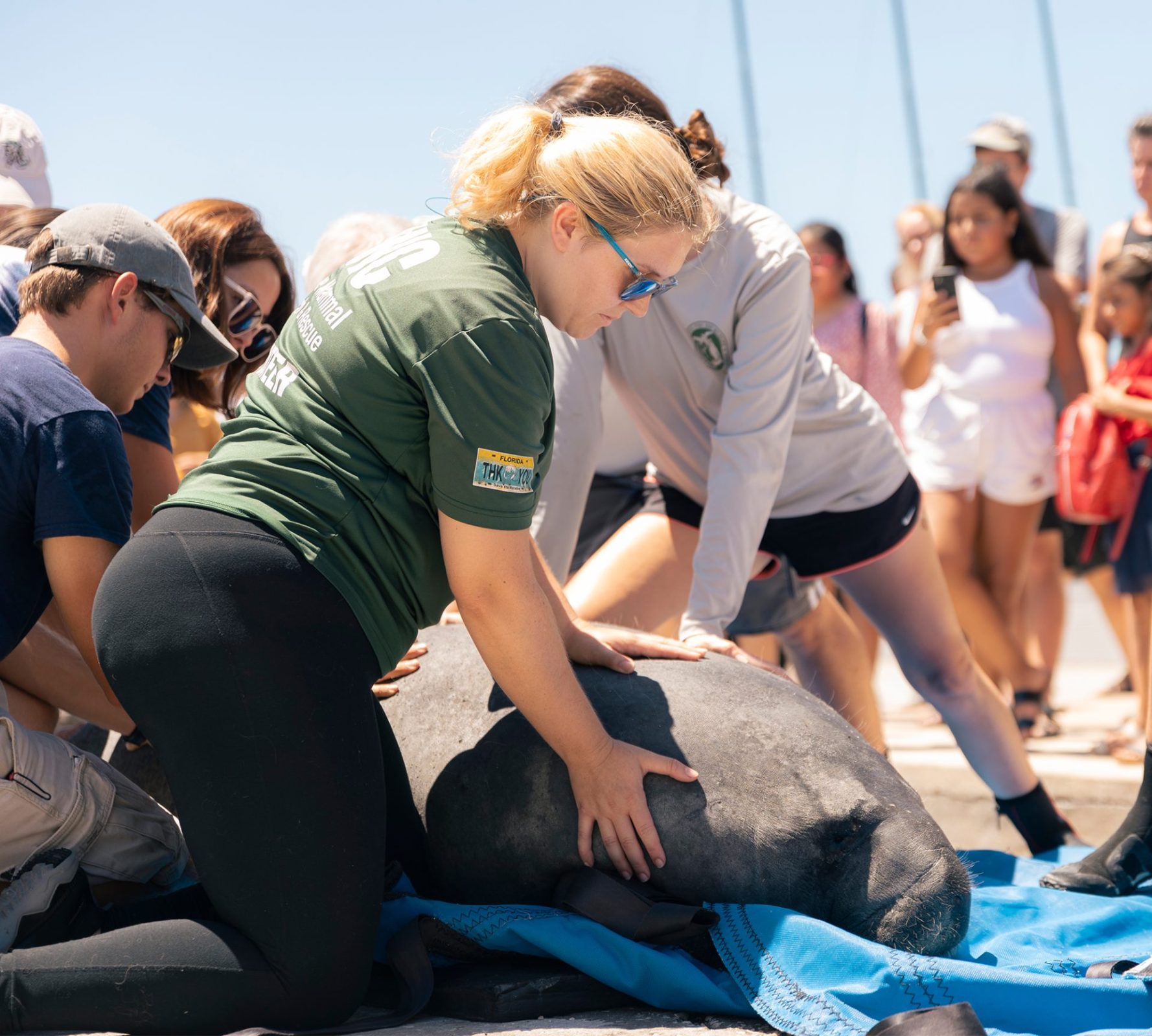 Eckerd College Schedule: Pro Tips For Academic Success - 7wdor3t