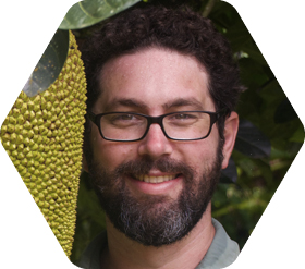 Photo of Dave Himmelfarb