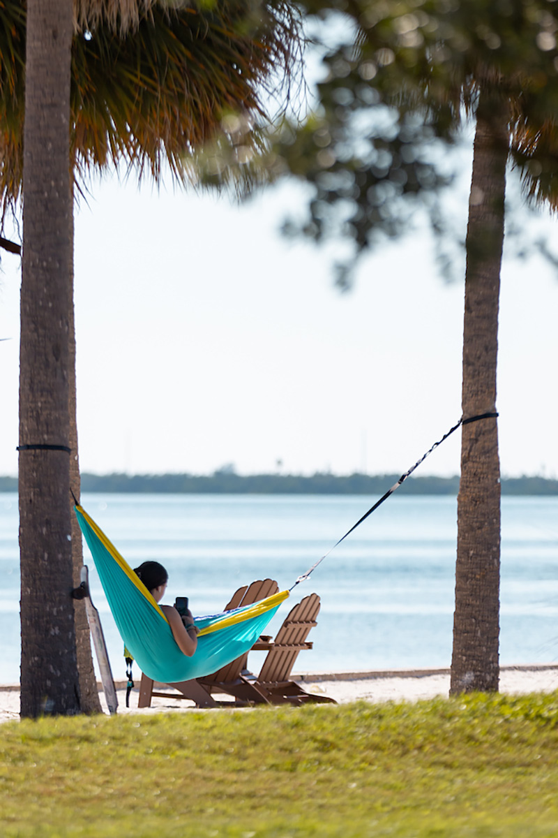 Student in hammock hanging between two palm trees by the water