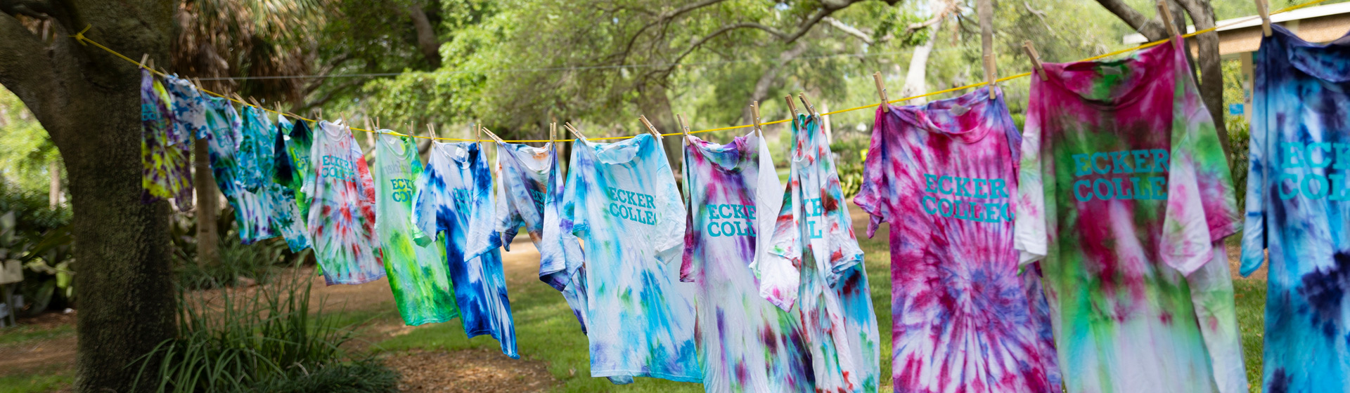 Tie-dye shirts handing from a clothesline between oak trees
