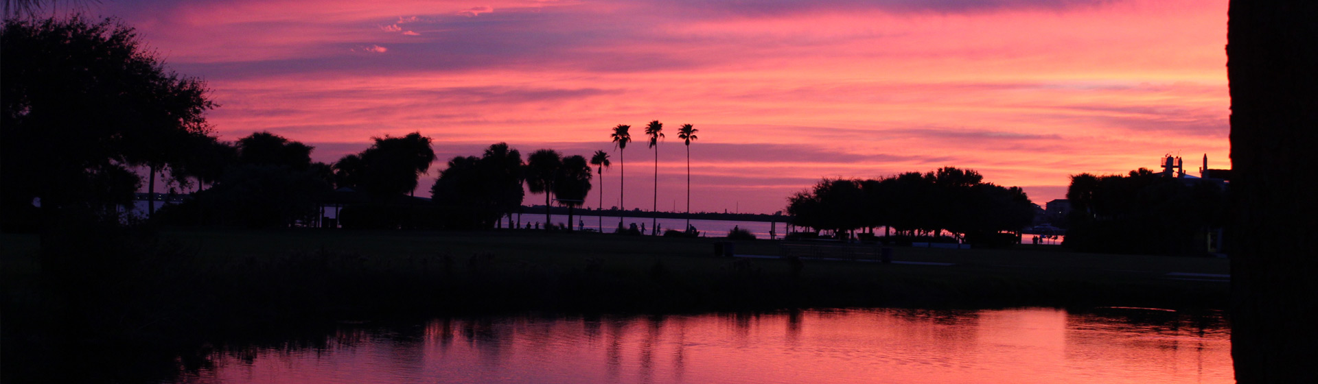 Pink and purple sky as sun sets over silhouetted campus