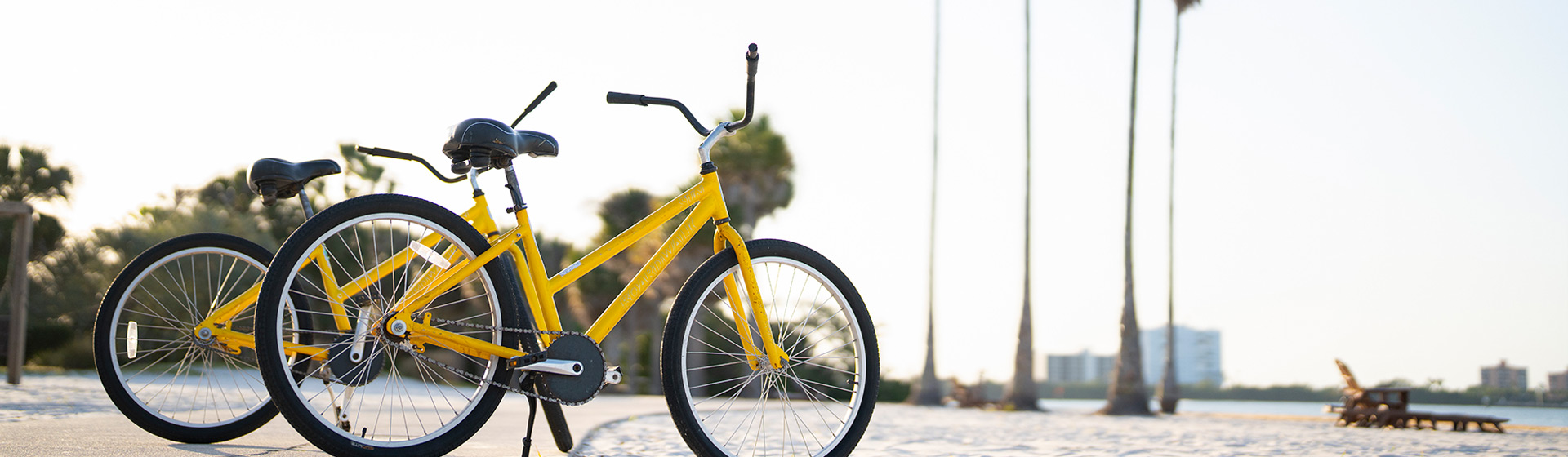 Two yellow bikes parked along beach with palm trees and water in background