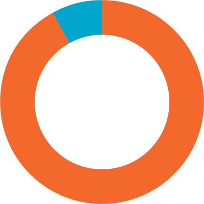 Pie chart with a majority of the circle in red and a sliver in blue