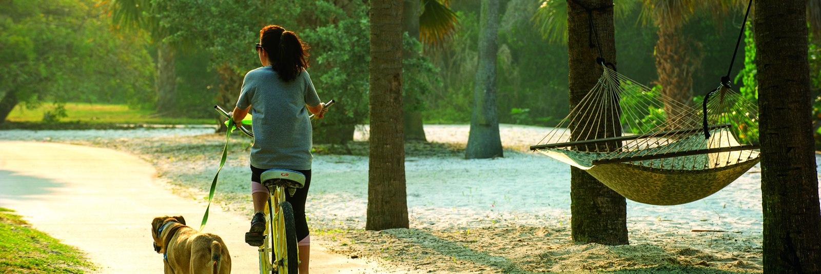 Student biking with dog along South Beach