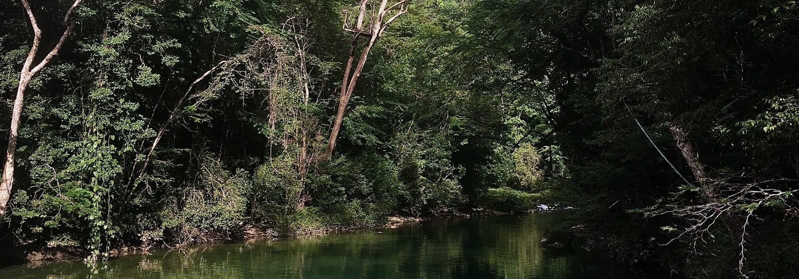 Tropical ecology of Belize