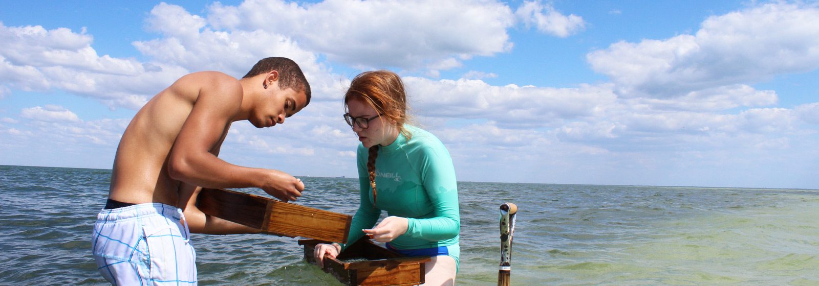 Students sifting through collection in the bay