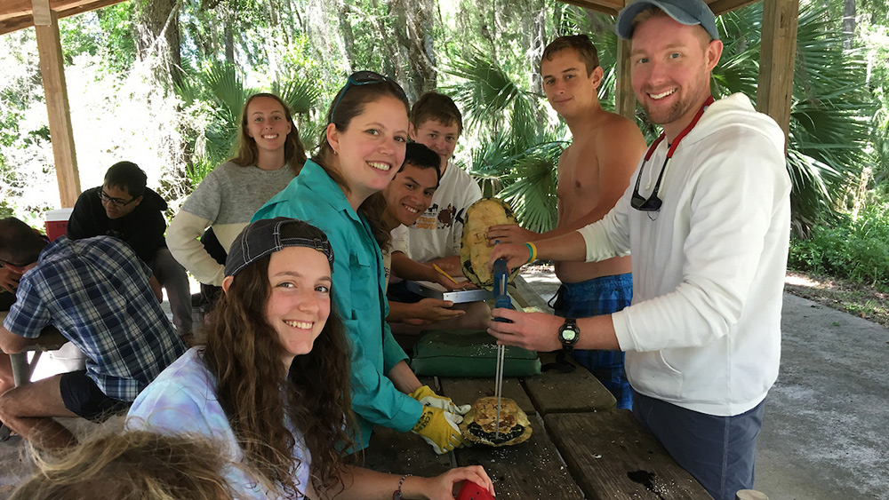Faculty and students work alongside one another under a shelter with a table that has turtles on it