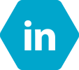 LinkedIn Icon