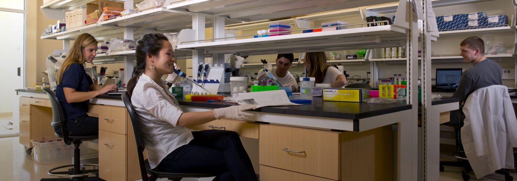Students in action in a James Center lab.