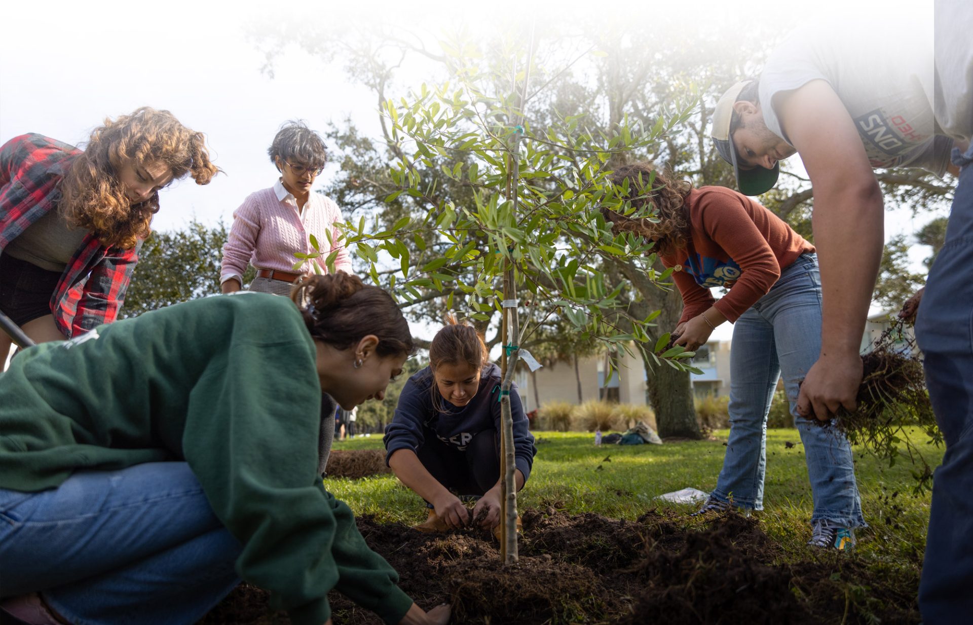 A group of Environmental Studies students at Eckerd College encircle a small tree and pat the dirt around it