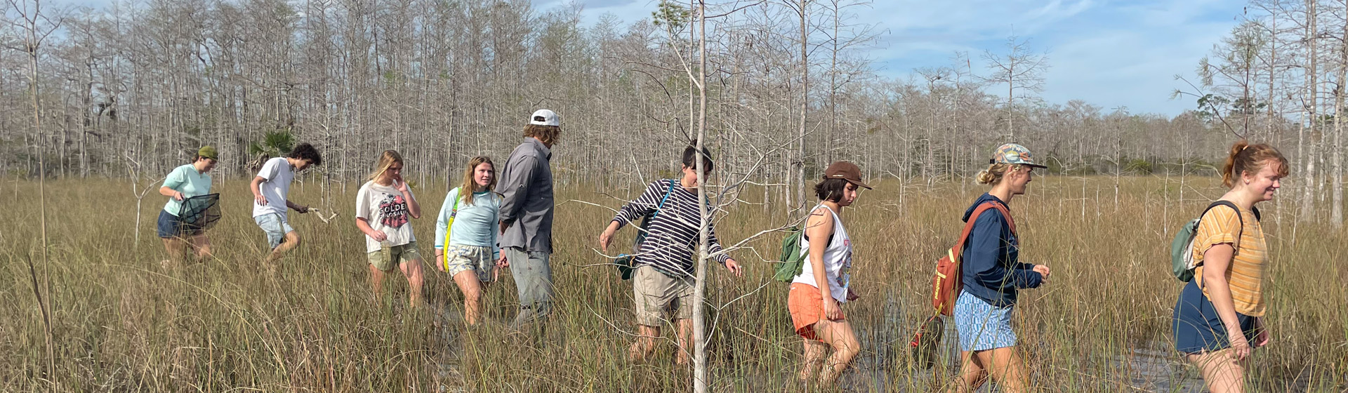 Environmental Studies students walk in a line through the Everglades in Florida