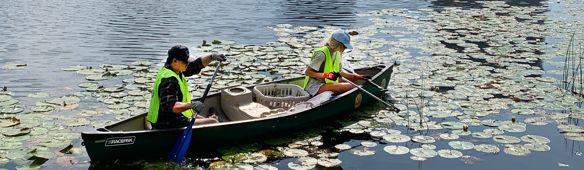 Students wearing vests in a canoe in a lake collecting specimens