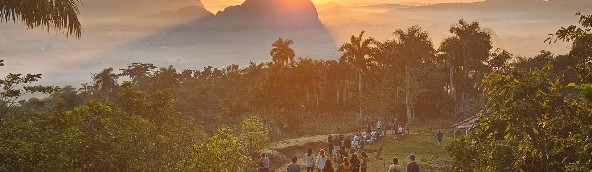 Students watch sunrise from atop a hill with a dog