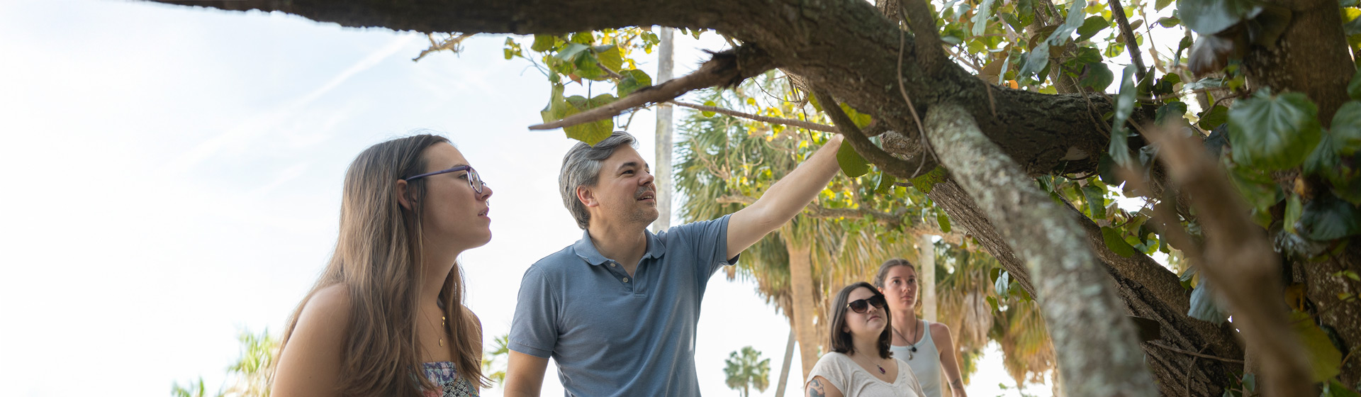 Professor inspects a tree with three students