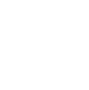 Double decker bus