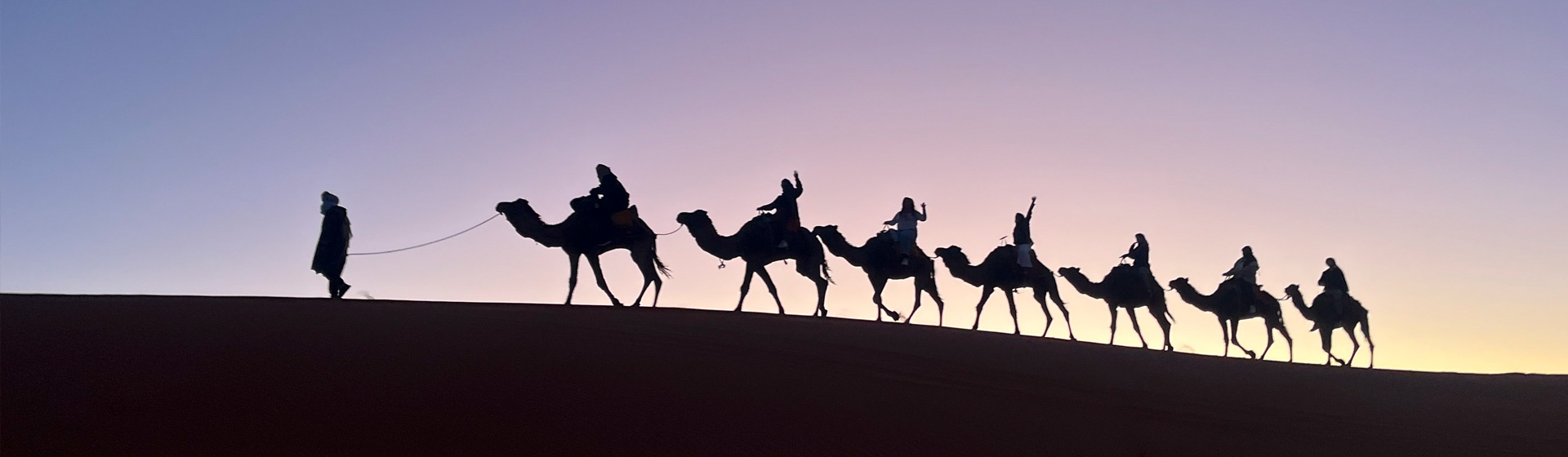 A group of Eckerd students riding camels along the edge of a sand dune in the desert in Morocco