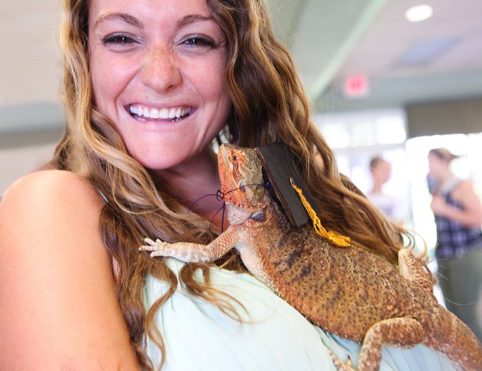 Bearded dragon crawling up student's neck