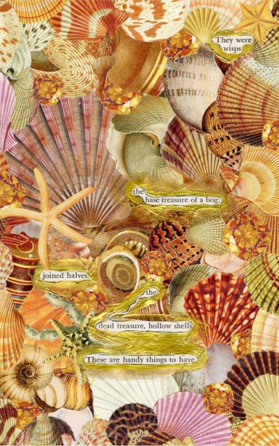 Collage of ocean shells with poetry overtop