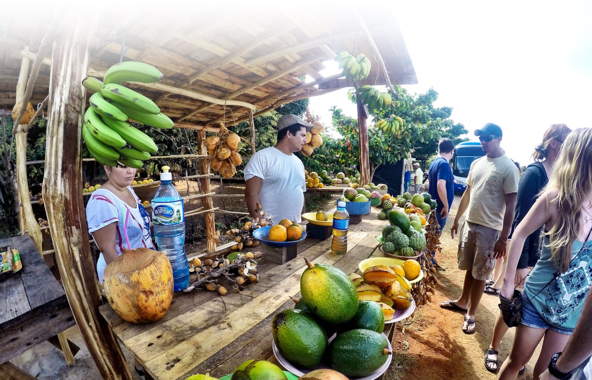 Eckerd Business Administration majors at a road-side market full of fruit and vegetables