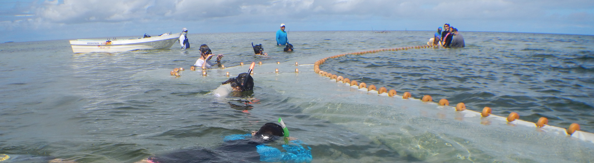 Studying coral reefs in Cuba
