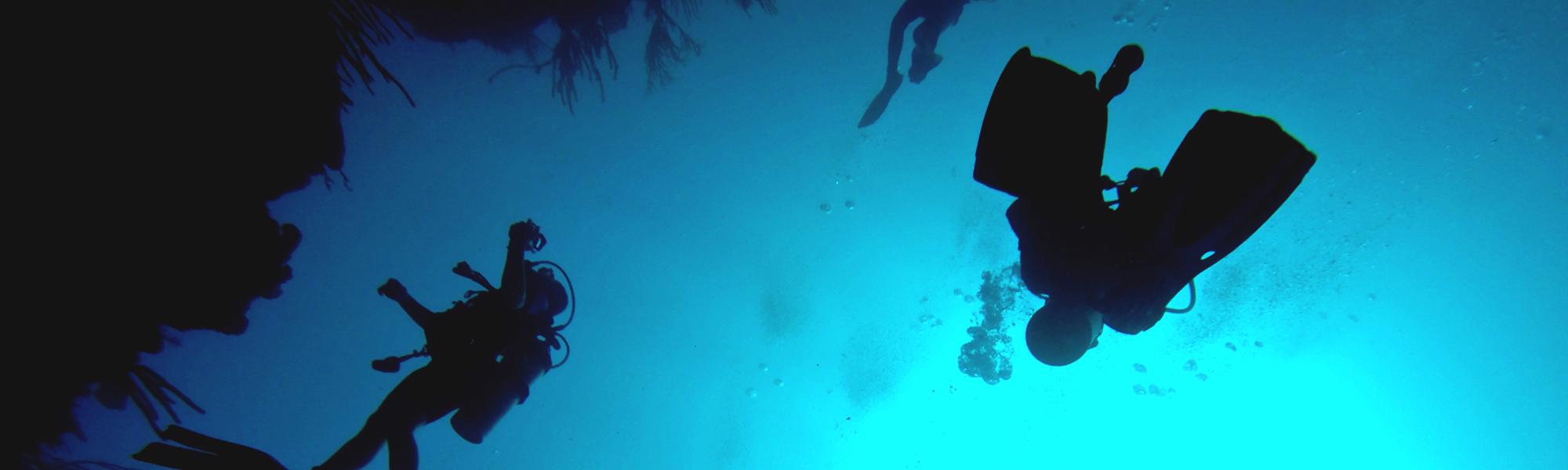 Scuba diving, photo: Frank Mutterer '16