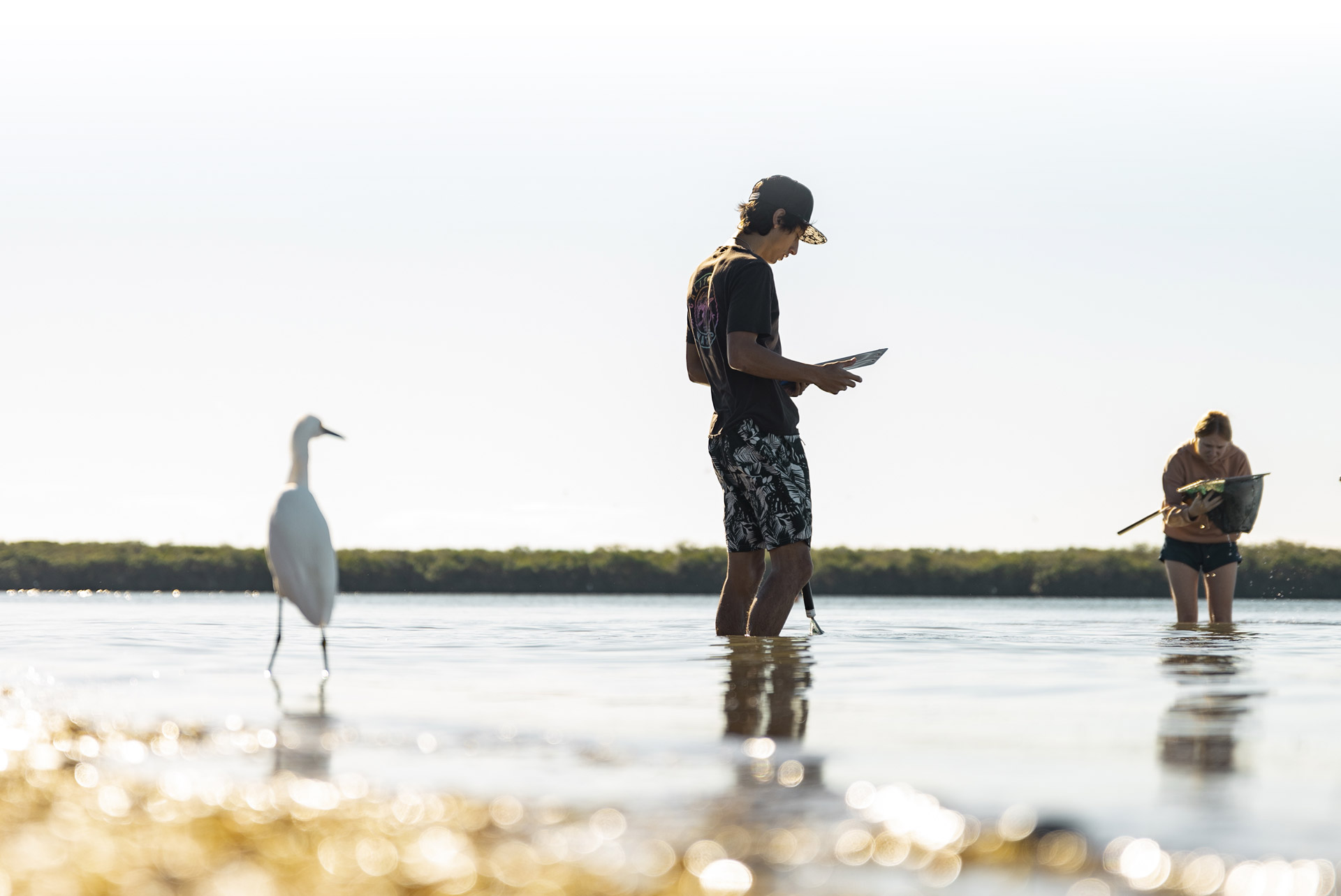 Eckerd College students collect marine creatures in Florida waters