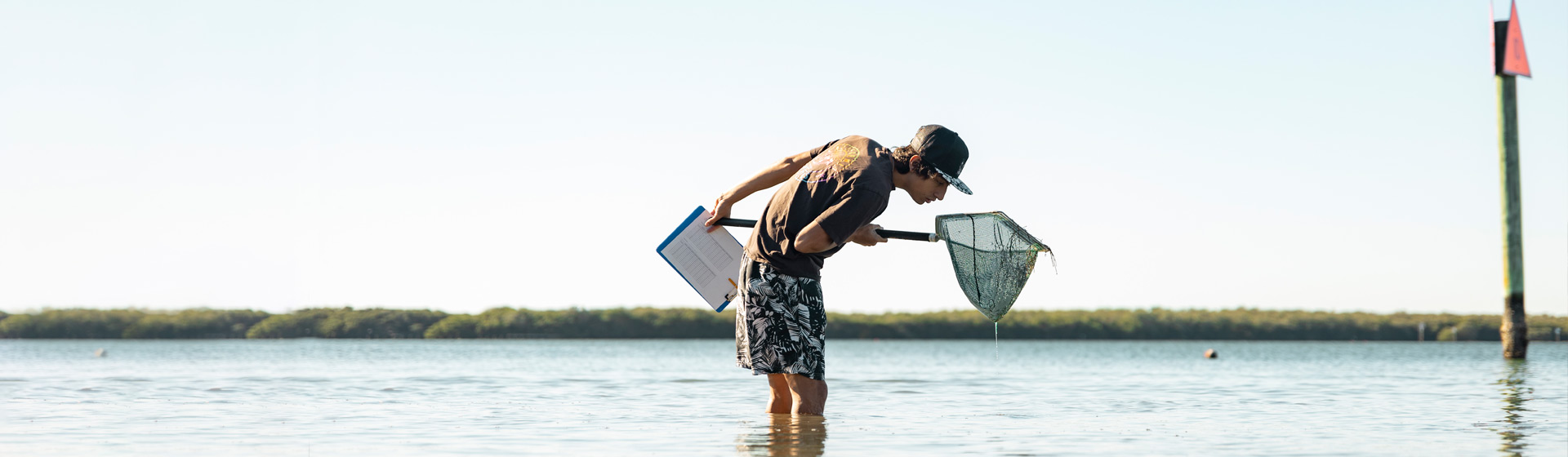 Student stands in knee-deep water in the bay looking at marine creature he caught in a net while holding notebook