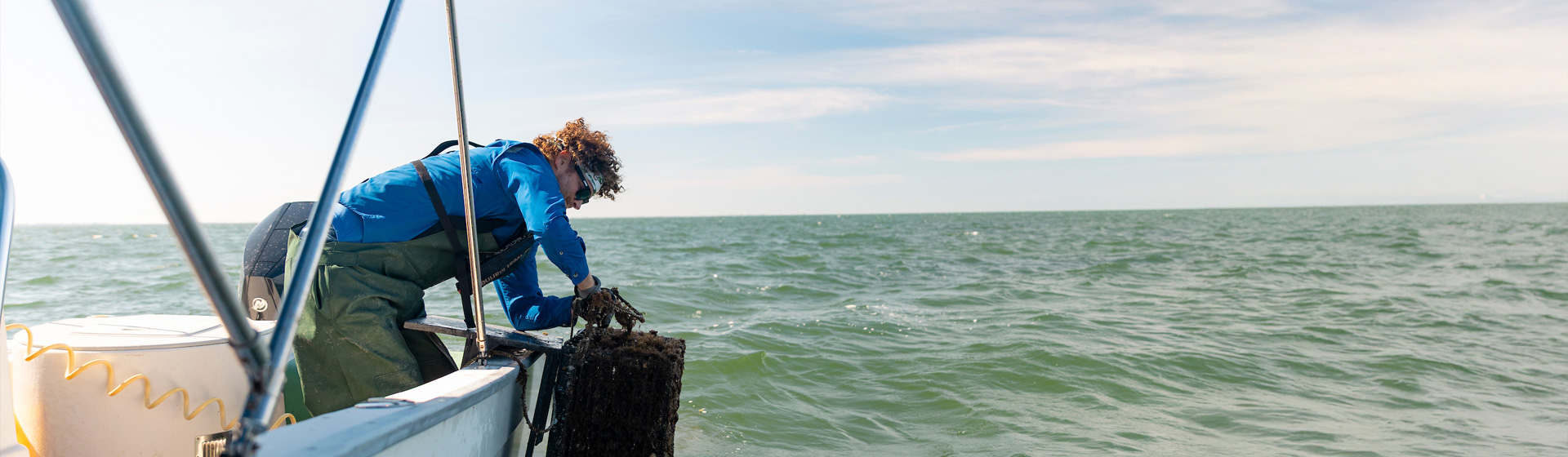 Professor leads over the side of a boat to pull up a crab trap from the water