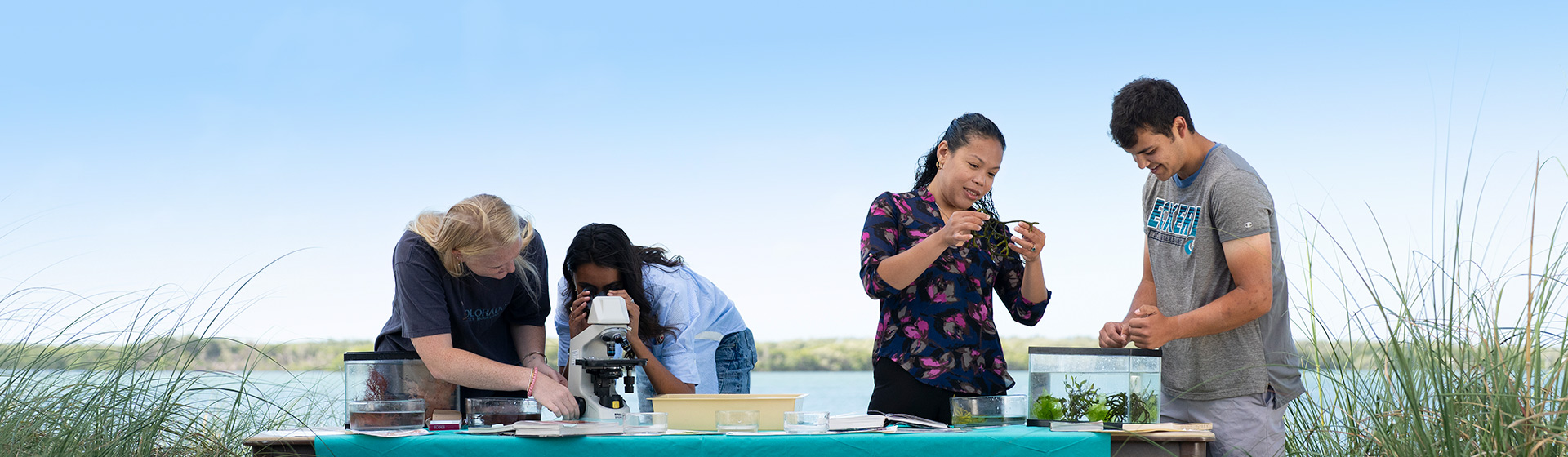 College students study marine science specimens in a microscope at an outdoor table alongside a marine science professor who holds seaweed