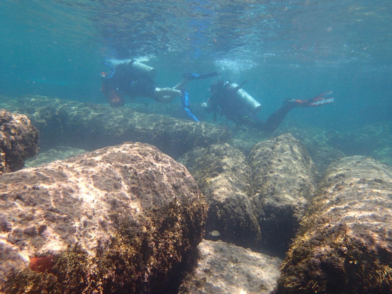 Student divers in the Mediterranean Sea