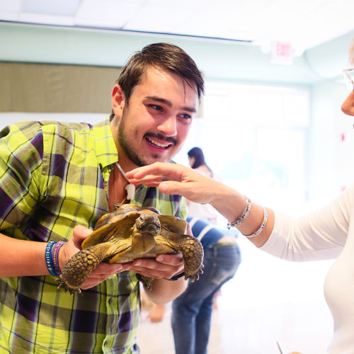 Joe Miseyka ’17 and tortoise