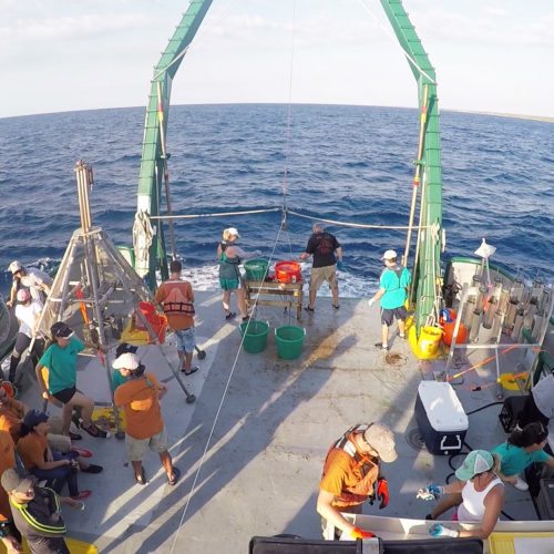 On deck the R/V Weatherbird II in Cuban waters