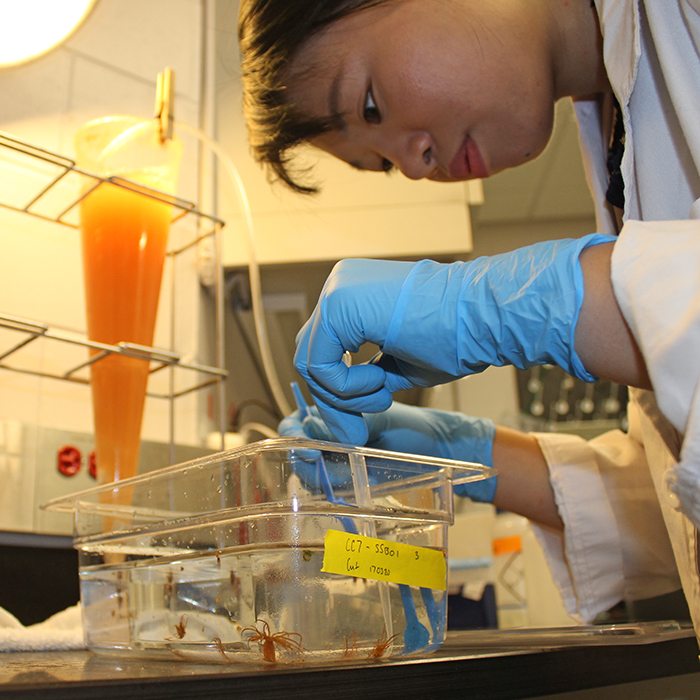 Haze Chan feeds anemones with a syringe