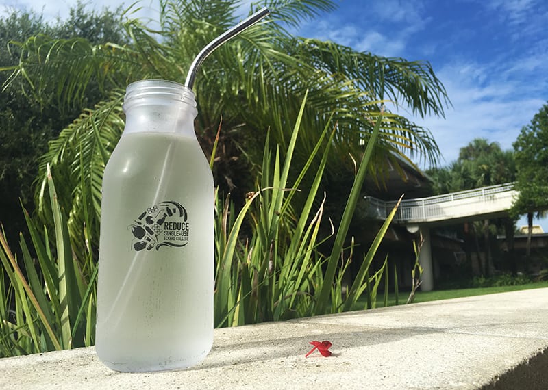 Eckerd receives federal grant to reduce single-use plastics on campus -  News