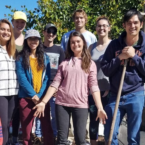 Eckerd students participate in Edible Peach Patch