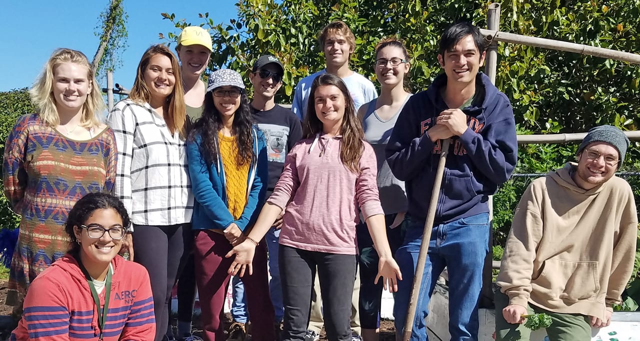 Eckerd students participate in Edible Peach Patch
