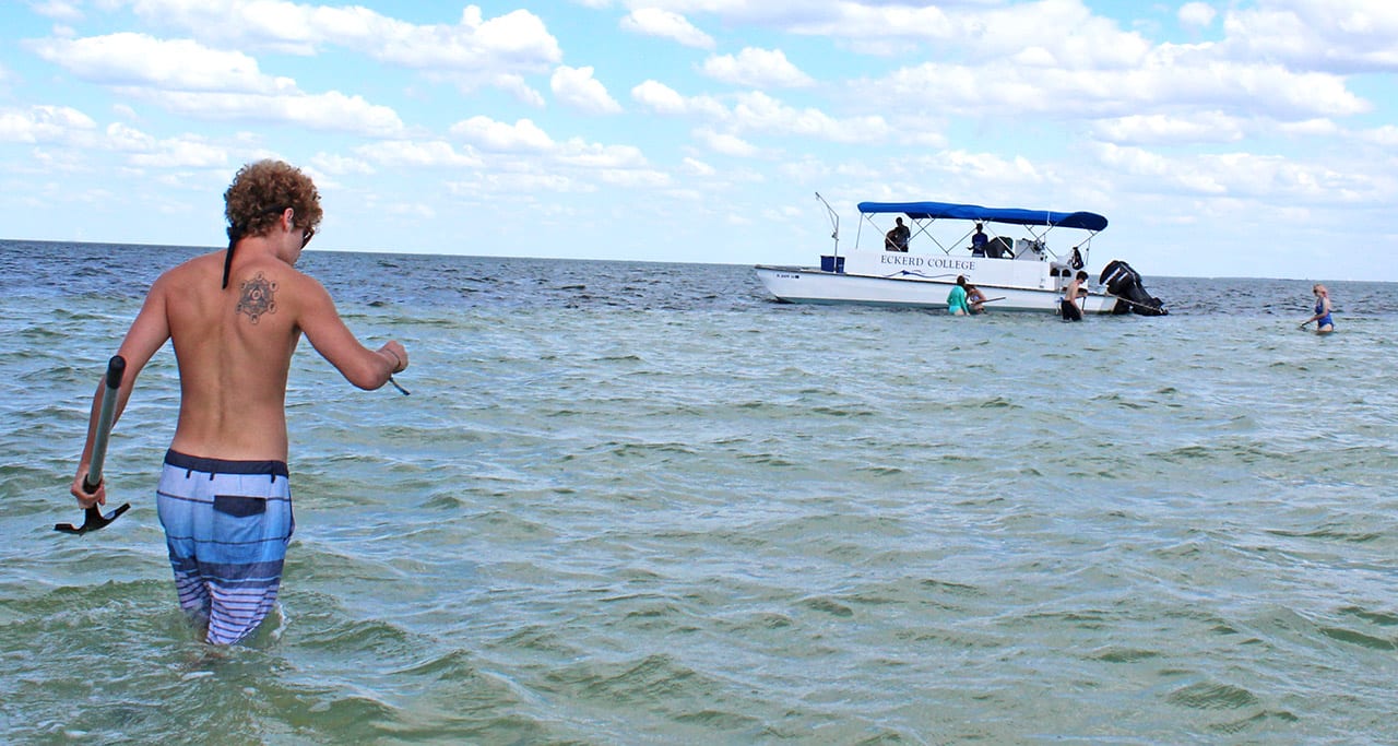 Students in bay, collecting specimens