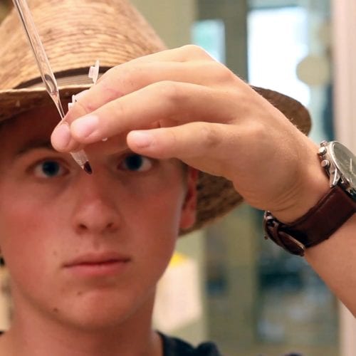 Student looking at blood sample