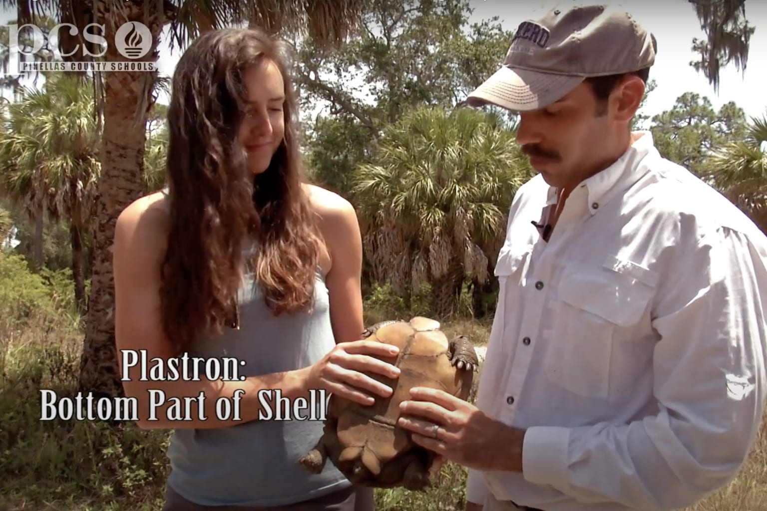 Screen capture from video showing Dr. Goessling inspecting a tortoise