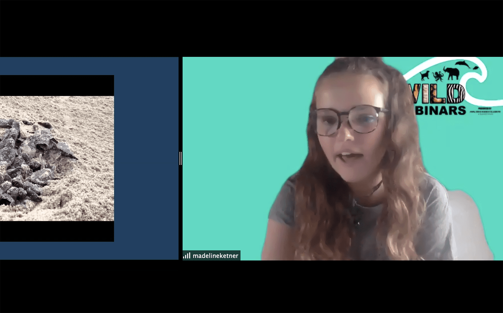 Maddie Ketner presents an animal on wild webinars