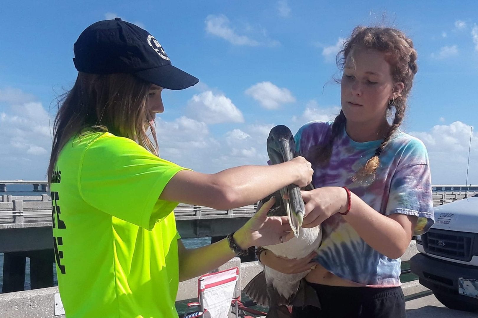 https://www.eckerd.edu/news/wp-content/uploads/sites/51/2021/02/pelican-rescue.jpg