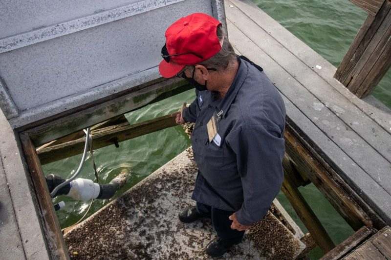 Staff below the Galbraith pier