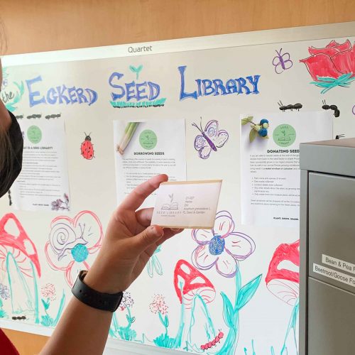 Student looking at seed packet pulled from drawer