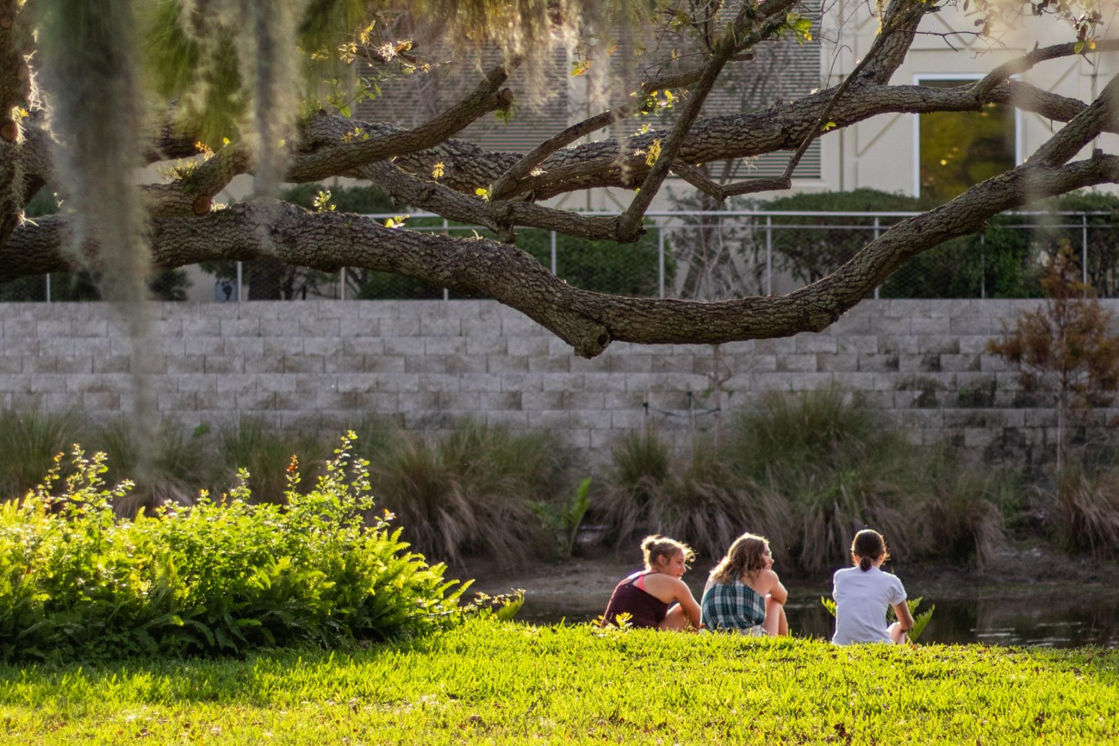 Eckerd College students seated at the edge of a pond in Florida