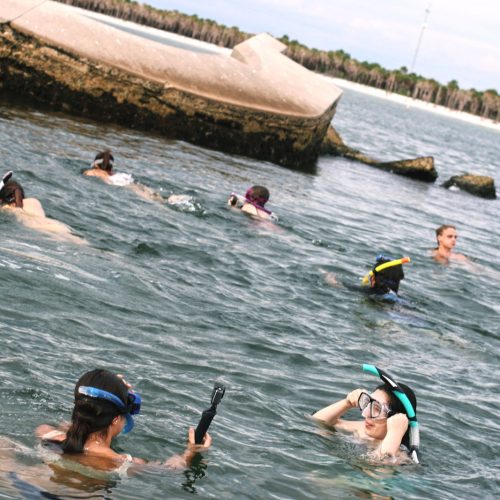 Eckerd College students snorkeling in the water