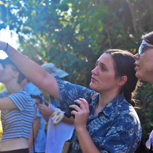 Students pointing into the woods while holding binoculars