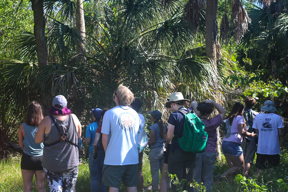 Students in a group at the base of trees