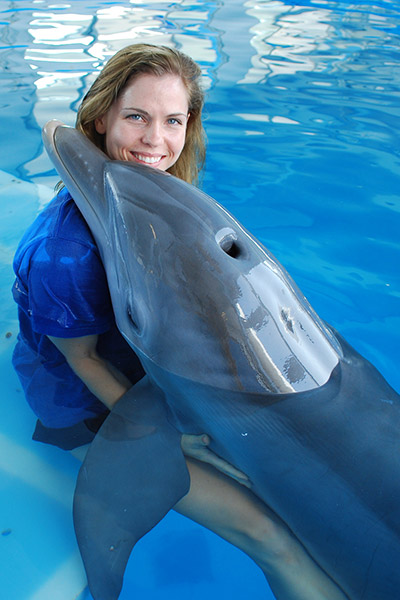 Dolphin resting on trainer's lap