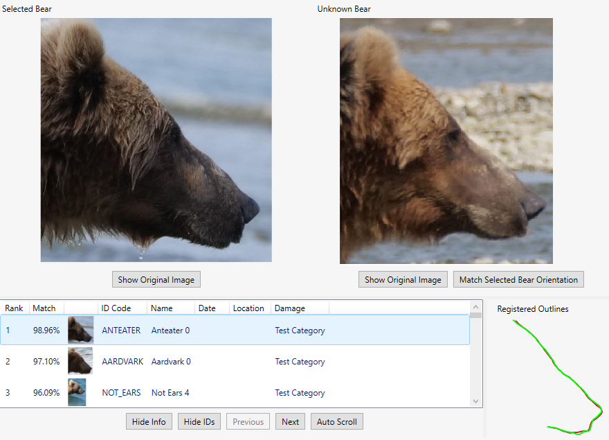 Screenshot of computer program showing "Selected Bear" and "Unknown Bear"